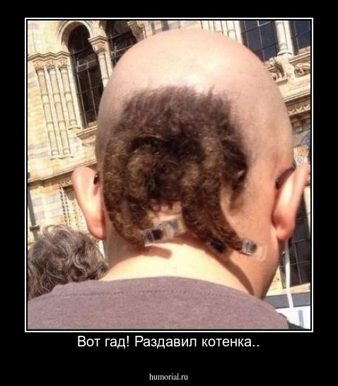 Вот гад! Раздавил котенка..