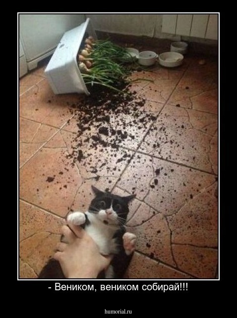 - Веником, веником собирай!!!