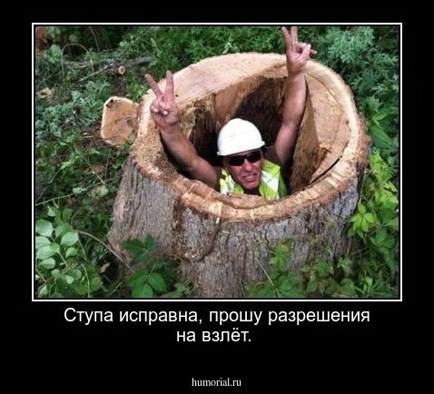 Ступа исправна, прошу разрешения на взлёт.