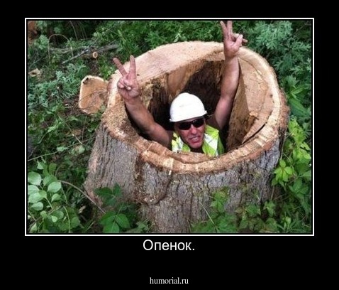 Опенок.