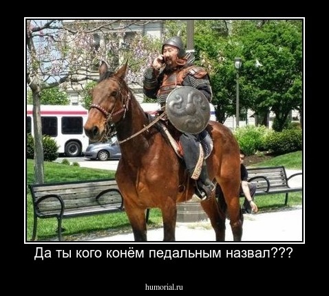 Да ты кого конём педальным назвал???