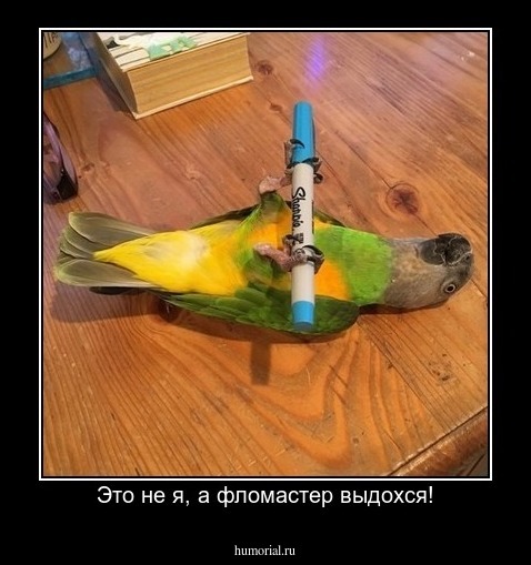 Это не я, а фломастер выдохся!