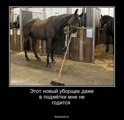 Этот новый уборщик даже в подмётки мне не годится