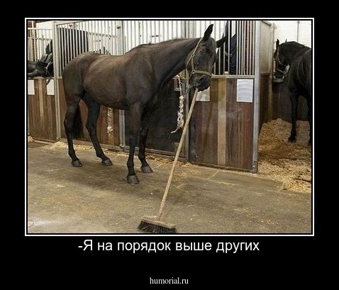 -Я на порядок выше других
