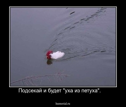 Подсекай и будет "уха из петуха".    