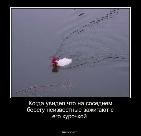 Когда увидел,что на соседнем берегу неизвестные зажигают с его курочкой
