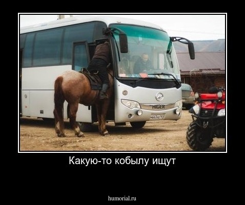 Какую-то кобылу ищут
