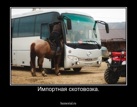 Импортная скотовозка.