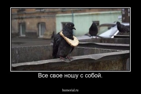 Все свое ношу с собой.