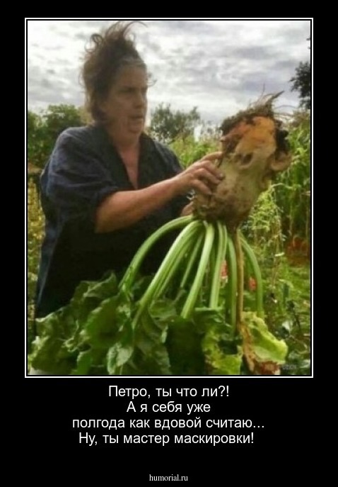 Петро, ты что ли?!  А я себя уже полгода как вдовой считаю... Ну, ты мастер маскировки!
