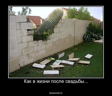 Как в жизни после свадьбы...