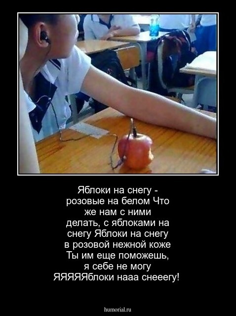 Яблоки на снегу - розовые на белом
Что же нам с ними делать, с яблоками на снегу
Яблоки на снегу в розовой нежной коже
Ты им еще поможешь, я себе не могу

ЯЯЯЯЯблоки нааа снееегу!