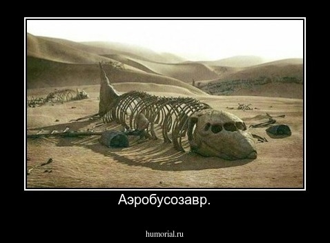 Аэробусозавр.