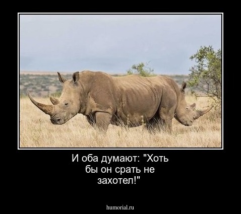 И оба думают: "Хоть бы он срать не захотел!"