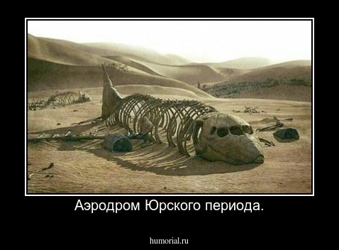 Аэродром Юрского периода.