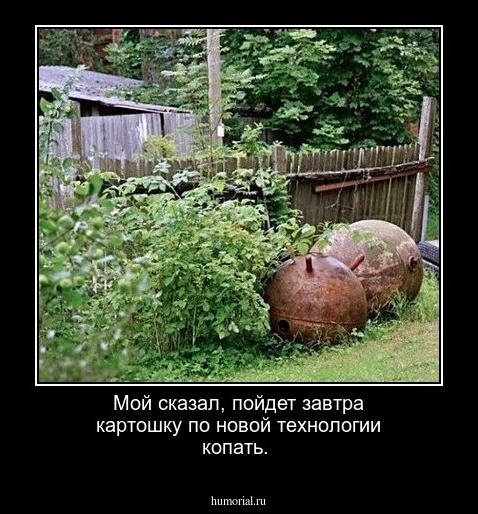 Мой сказал, пойдет завтра картошку по новой технологии копать.