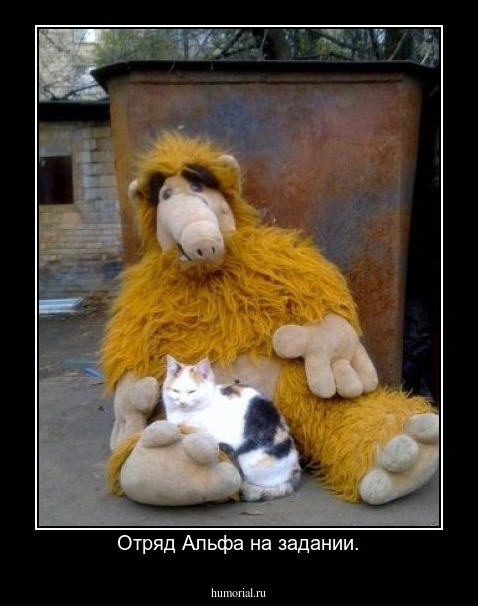 Отряд Альфа на задании.