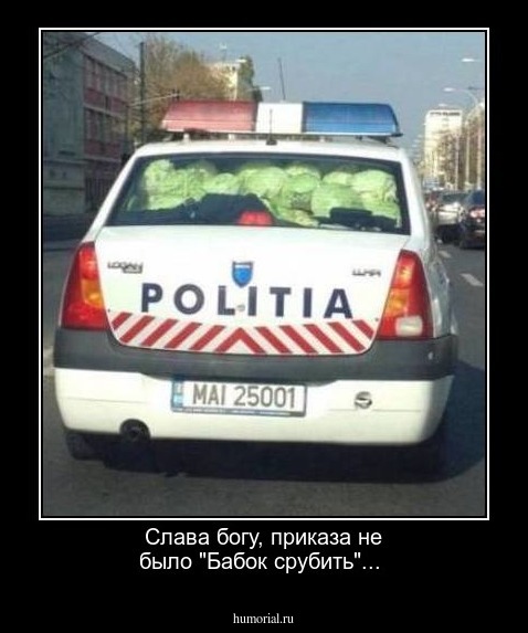 Слава богу, приказа не было "Бабок срубить"...
