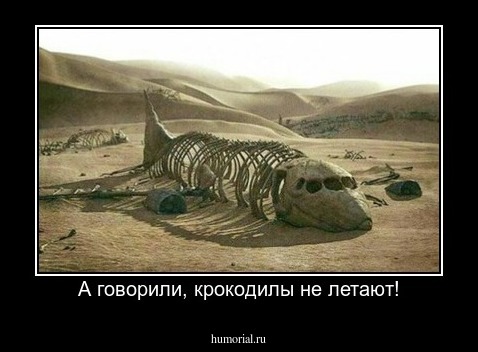 А говорили, крокодилы не летают!