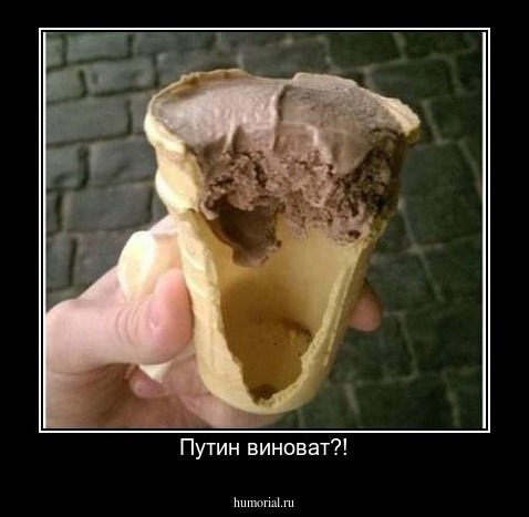 Путин виноват?!