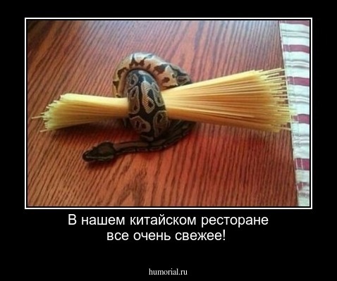 В нашем китайском ресторане все очень свежее!