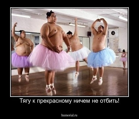 Тягу к прекрасному ничем не отбить!