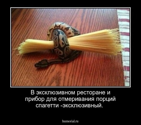 В эксклюзивном ресторане и прибор для отмеривания порций спагетти -эксклюзивный.