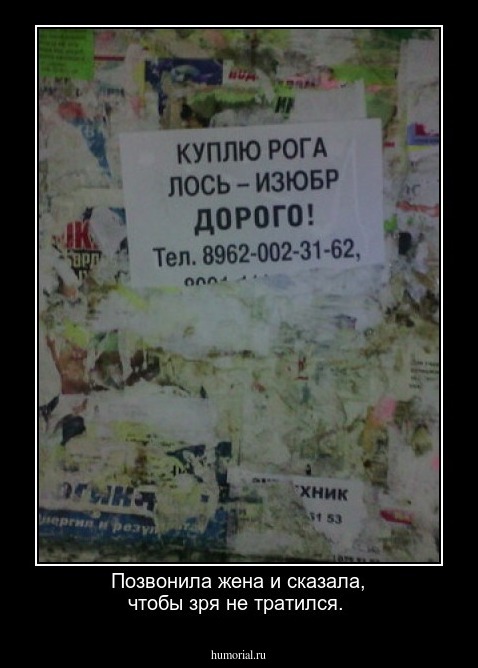 Позвонила жена и сказала, чтобы зря не тратился.