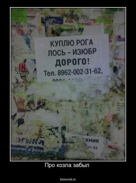 Про козла забыл 