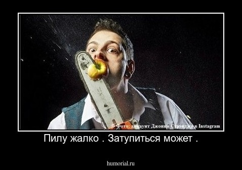 Пилу жалко . Затупиться может .