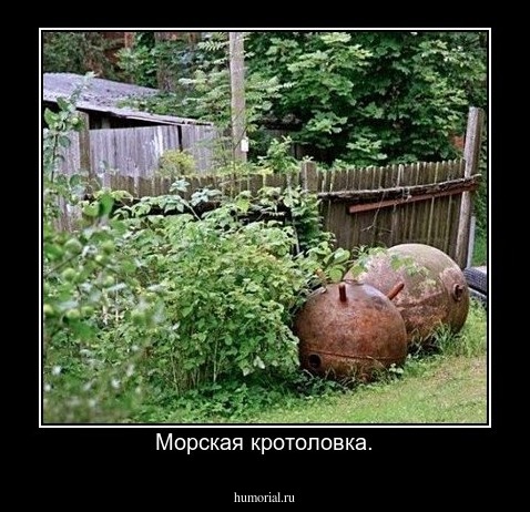 Морская кротоловка.