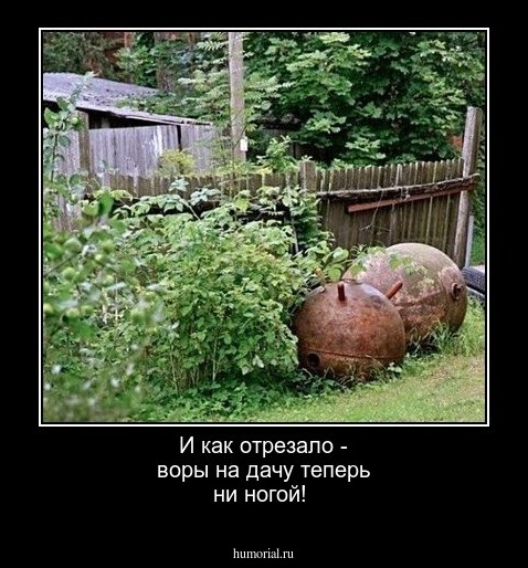 И как отрезало - воры на дачу теперь ни ногой!