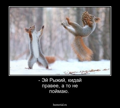 - Эй Рыжий, кидай правее, а то не поймаю. 