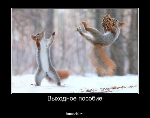 Выходное пособие