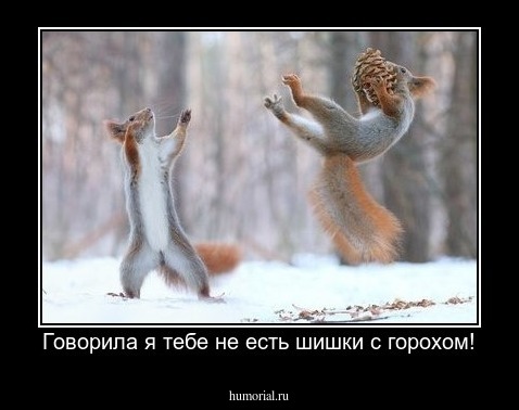 Говорила я тебе не есть шишки с горохом!