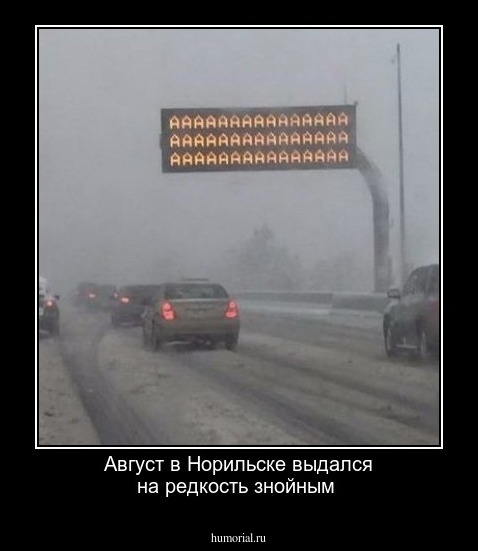 Август в Норильске выдался на редкость знойным