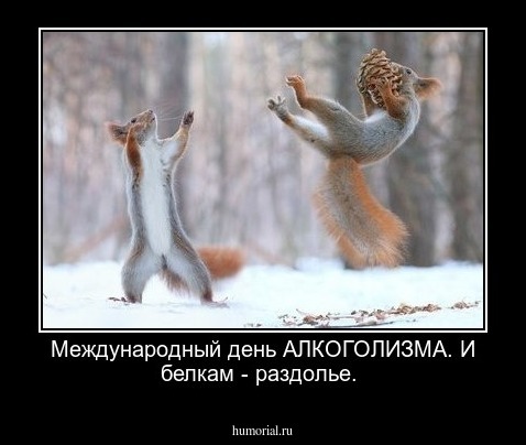 Международный день АЛКОГОЛИЗМА. И белкам - раздолье.