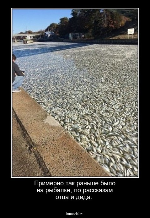 Примерно так раньше было на рыбалке, по рассказам отца и деда.