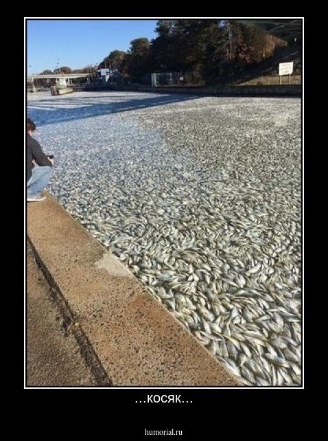 ...косяк...