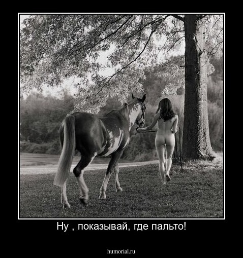 Ну , показывай, где пальто!