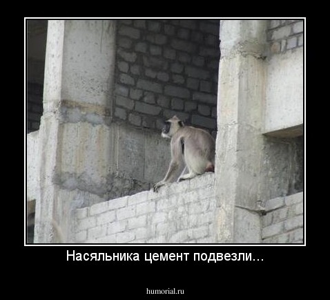 Насяльника цемент подвезли...