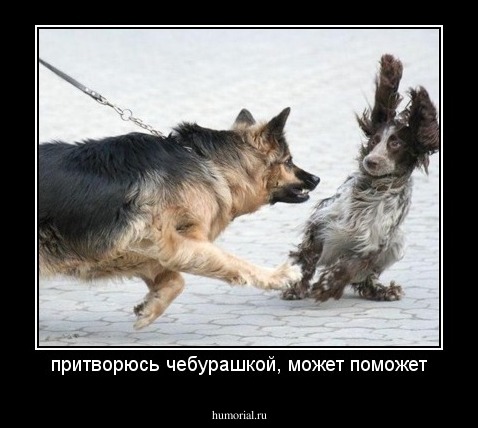 притворюсь чебурашкой, может поможет
