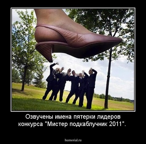 Озвучены имена пятерки лидеров конкурса "Мистер подкаблучник 2011".