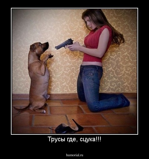 Трусы где, сцука!!!