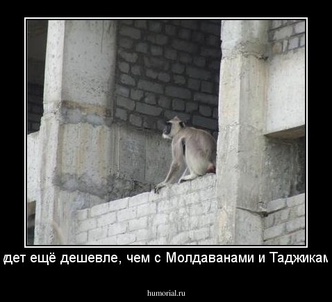 Будет ещё дешевле, чем с Молдаванами и Таджиками!
