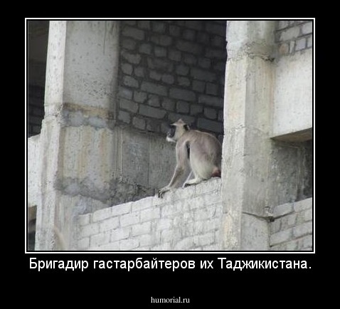 Бригадир гастарбайтеров из Таджикистана.