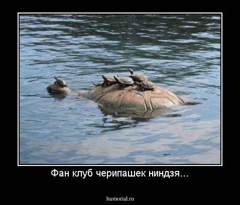 Фан клуб черипашек ниндзя...