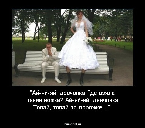 "Ай-яй-яй, девчонка
Где взяла такие ножки?
Ай-яй-яй, девчонка
Топай, топай по дорожке..."