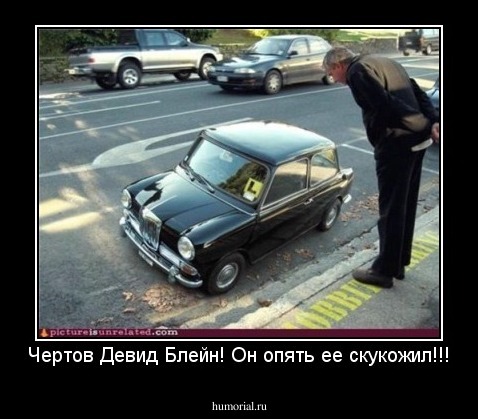 Чертов Девид Блейн! Он опять ее скукожил!!!