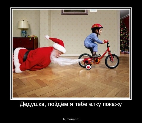 Дедушка, пойдём я тебе елку покажу